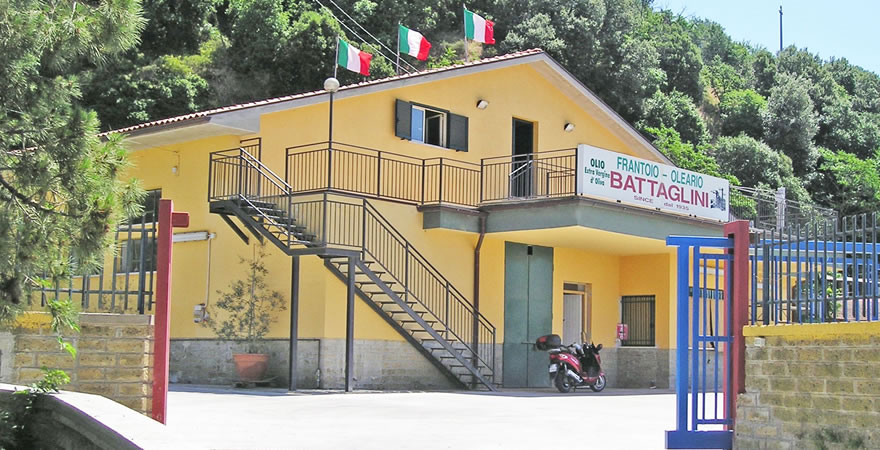 Produzione olio extravergine di Oliva Bolsena