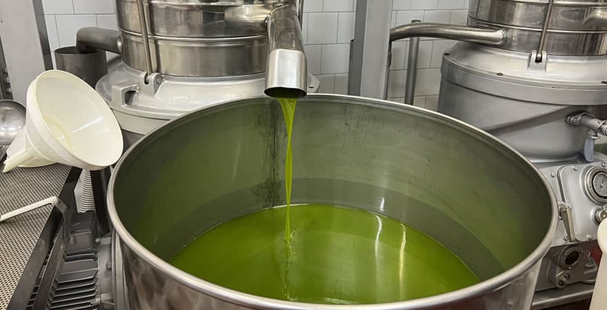 Olio extravergine di oliva Frantoio Battaglini produzione 2022
